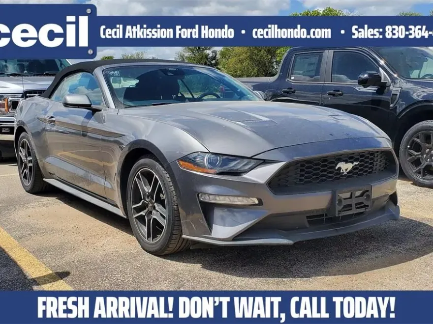 2023 Ford Mustang EcoBoost Premium photo 1