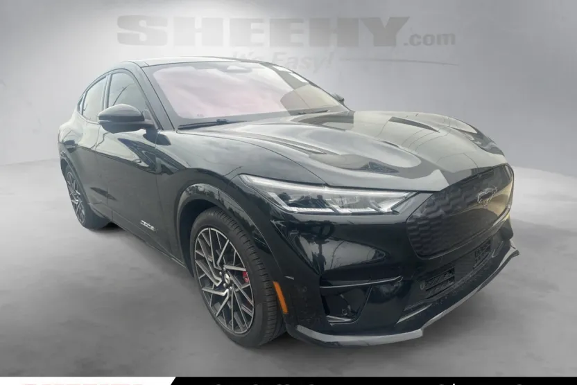 2022 Ford Mustang Mach-E GT photo 1
