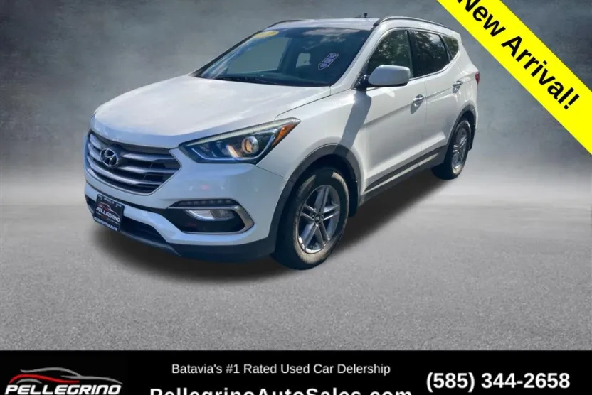 2017 Hyundai Santa Fe Sport photo 1