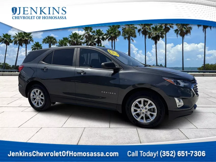 2020 Chevrolet Equinox LS photo 1