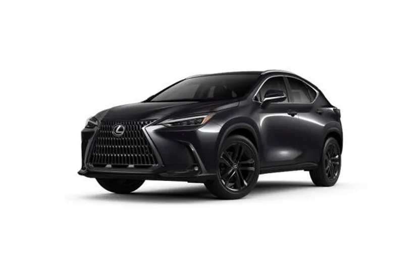2025 Lexus NX 450h+ Luxury photo 1