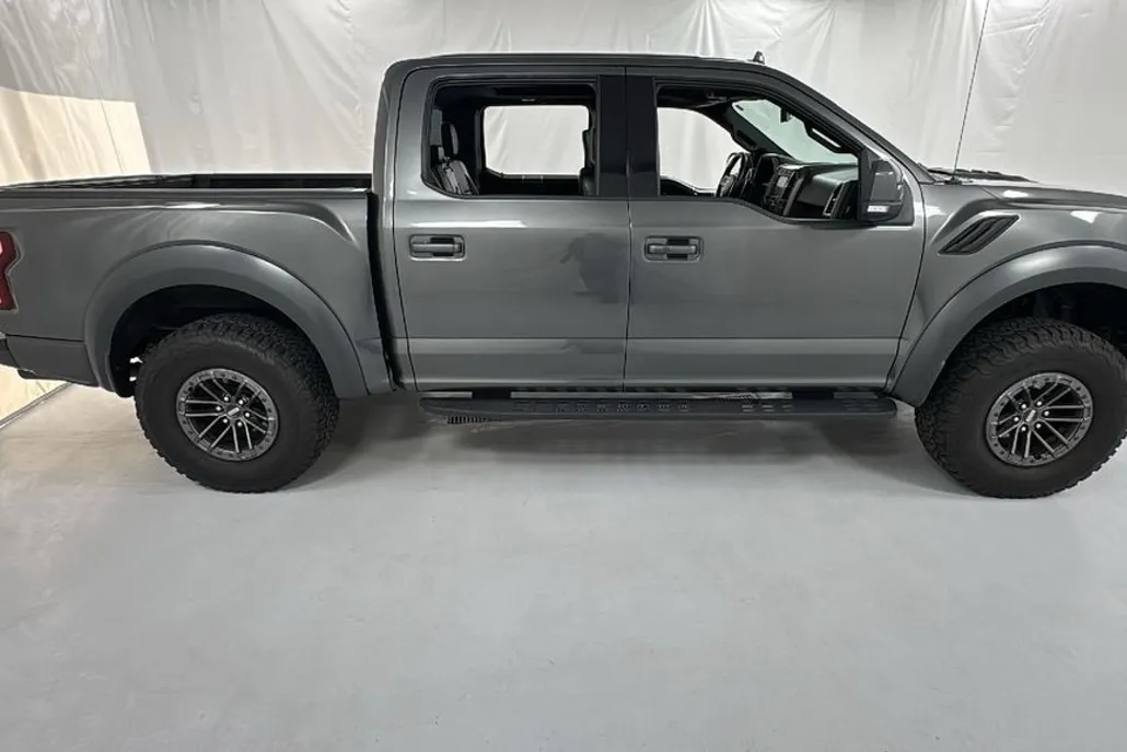 2019 Ford F-150 Raptor photo 1