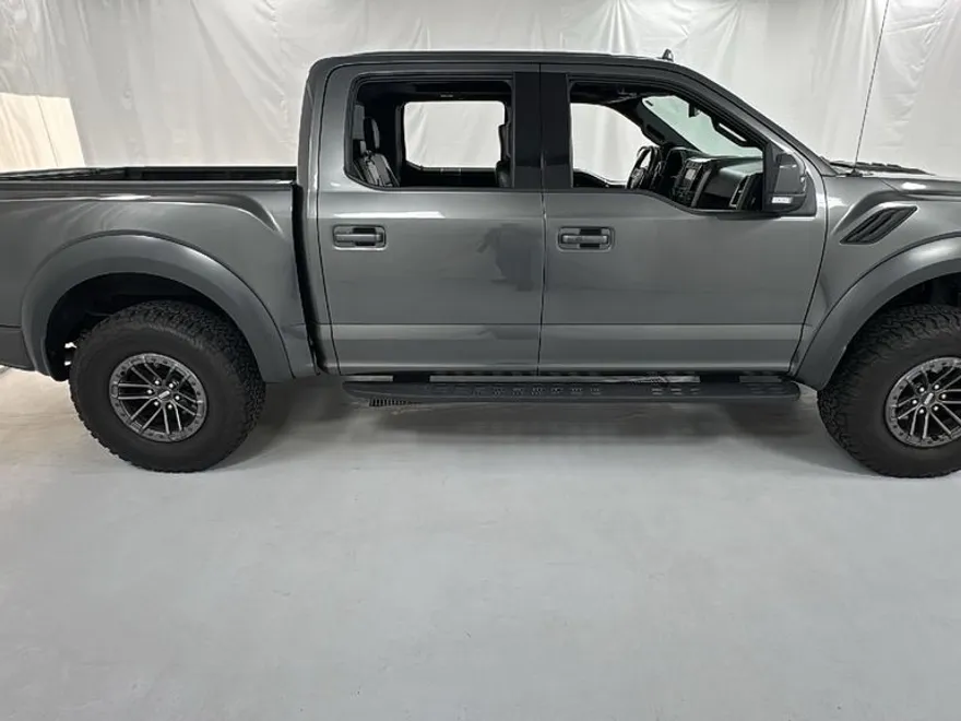 2019 Ford F-150 Raptor photo 1