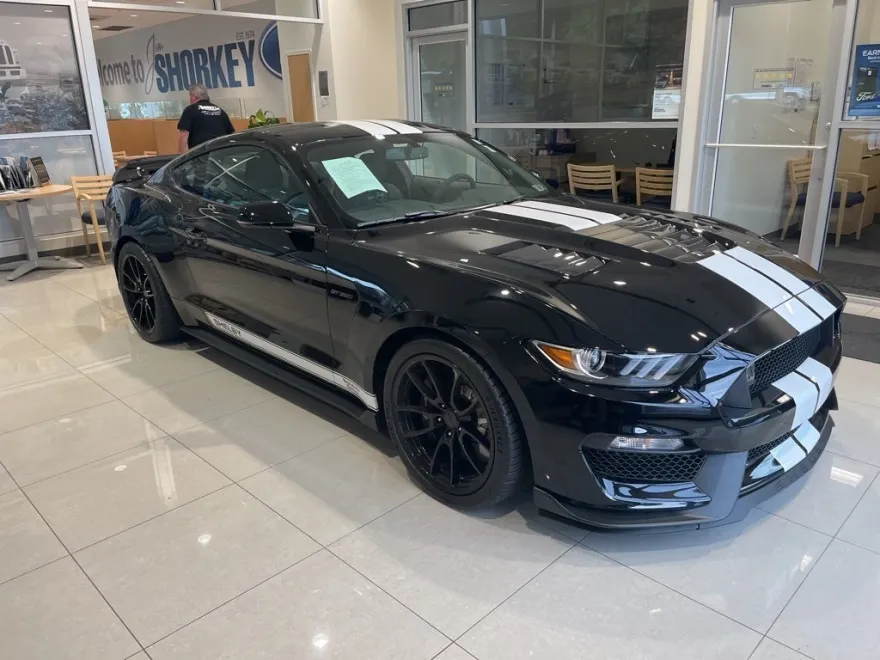 2019 Ford Mustang Shelby GT350 photo 1