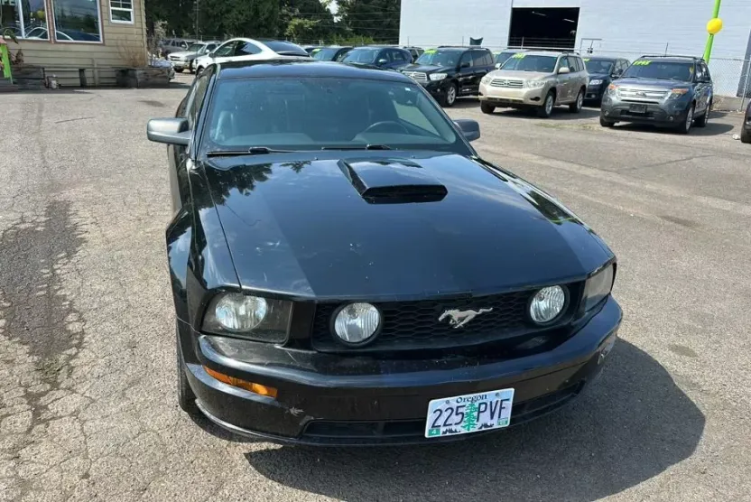 2008 Ford Mustang GT photo 1