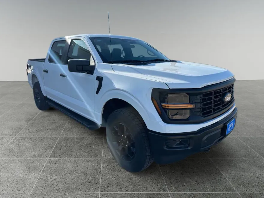 2025 Ford F-150 STX photo 1