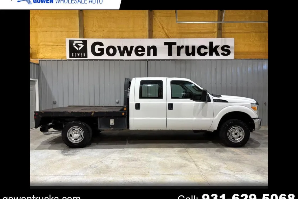 2015 Ford F-250 photo 1