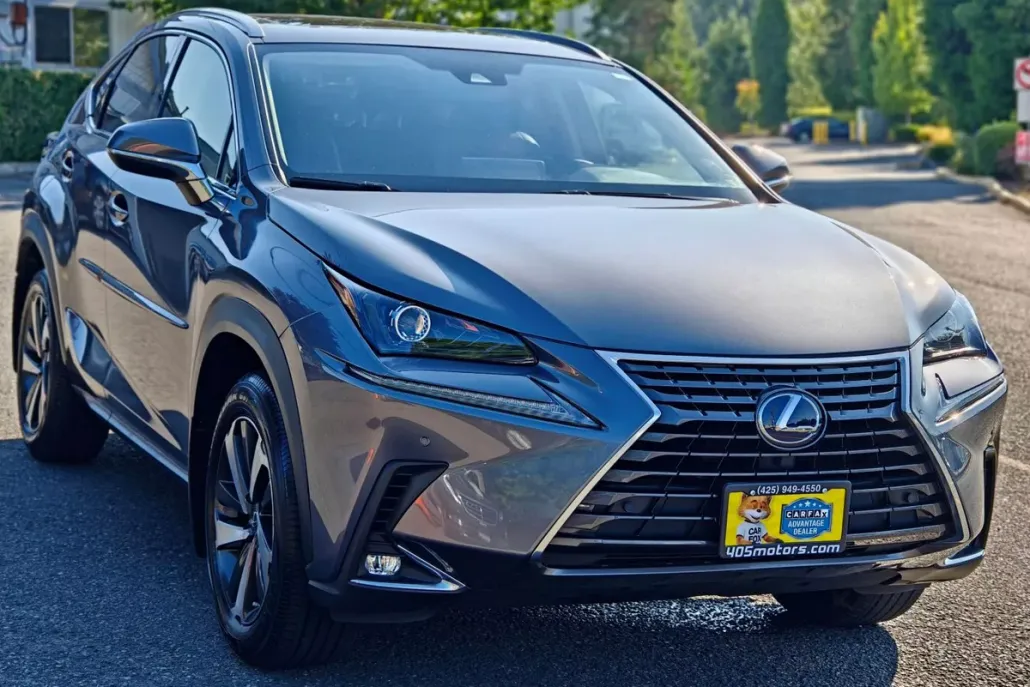 2020 Lexus NX 300h Premium photo 1