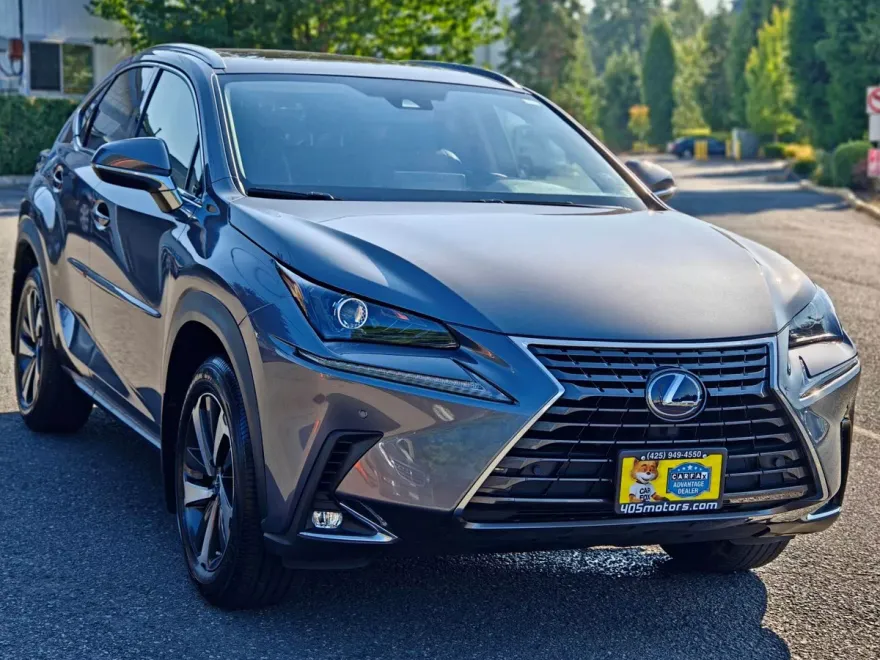 2020 Lexus NX 300h Premium photo 1