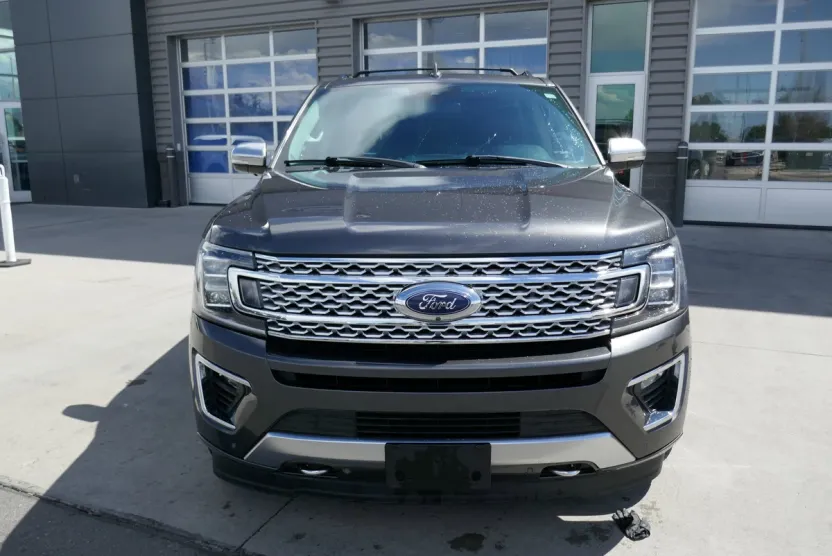 2020 Ford Expedition MAX Platinum photo 1