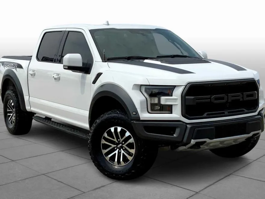 2019 Ford F-150 Raptor photo 1