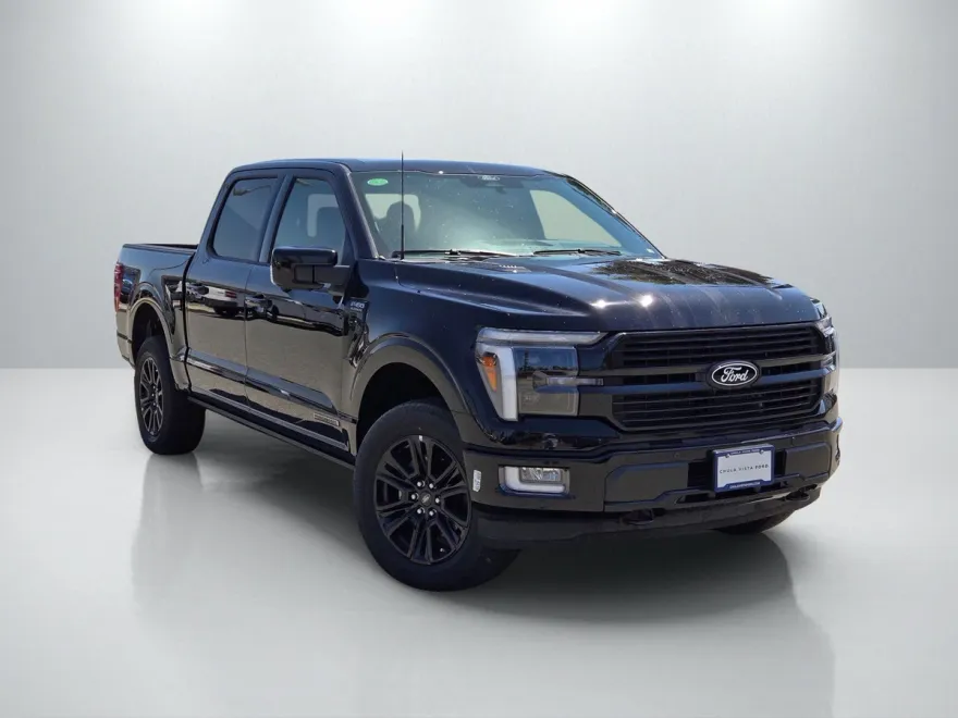 2025 Ford F-150 Platinum photo 1