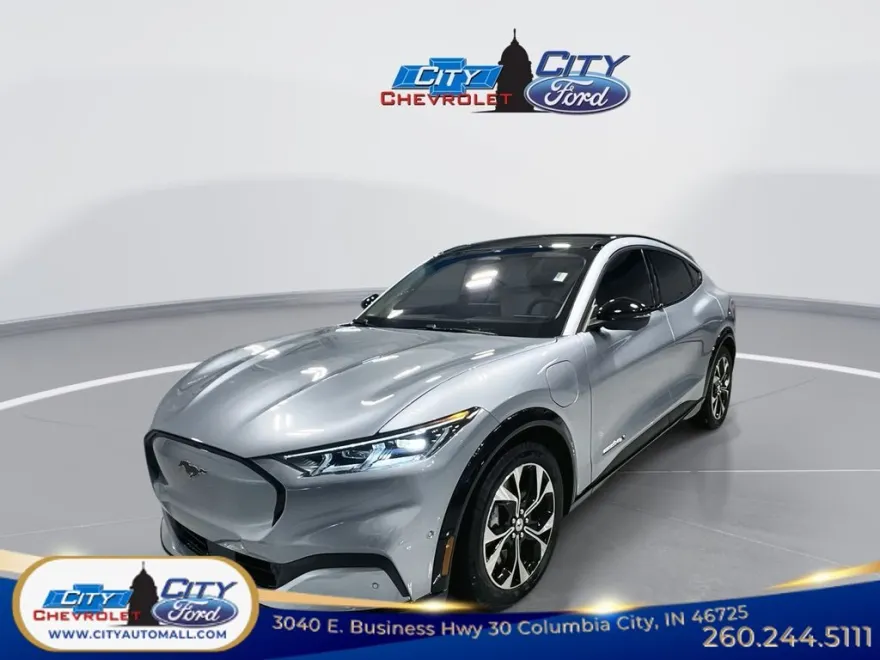 2022 Ford Mustang Mach-E Premium photo 1