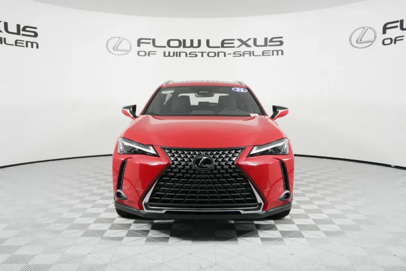 2025 Lexus UX Premium photo 1