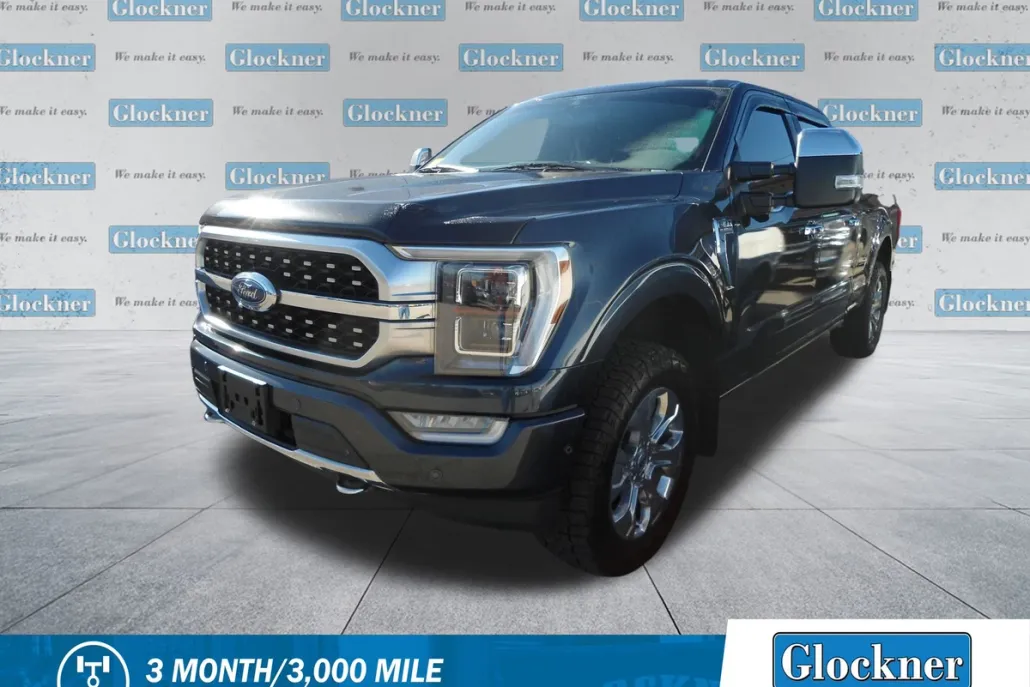 2021 Ford F-150 Platinum photo 1