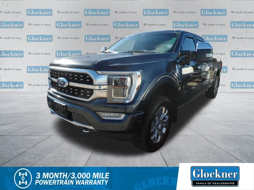 2021 Ford F-150 Platinum photo 1