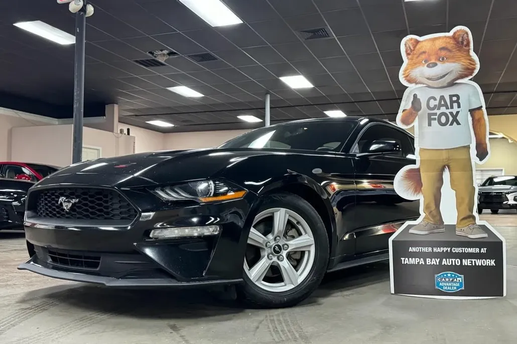 2019 Ford Mustang EcoBoost photo 1