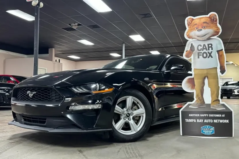 2019 Ford Mustang EcoBoost photo 1