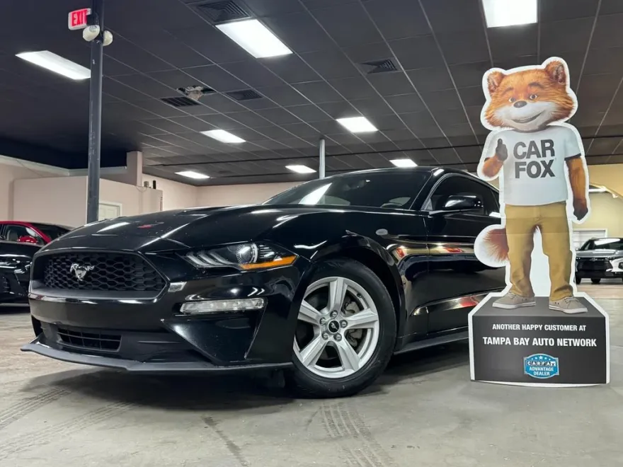 2019 Ford Mustang EcoBoost photo 1