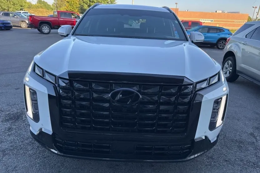2024 Hyundai Palisade Calligraphy photo 1
