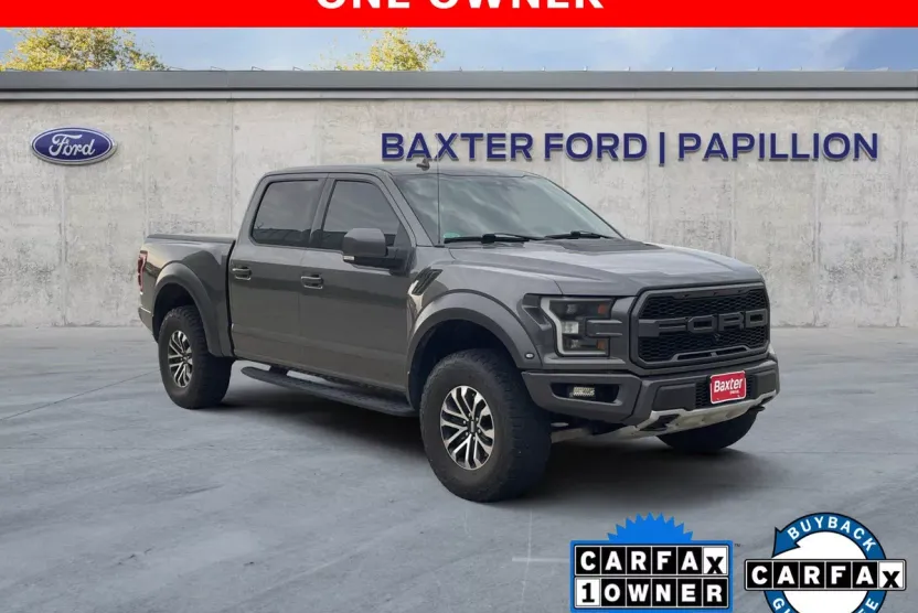 2019 Ford F-150 Raptor photo 1