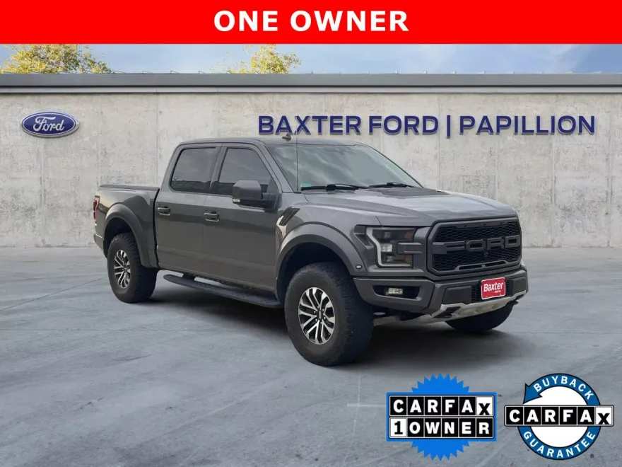 2019 Ford F-150 Raptor photo 1
