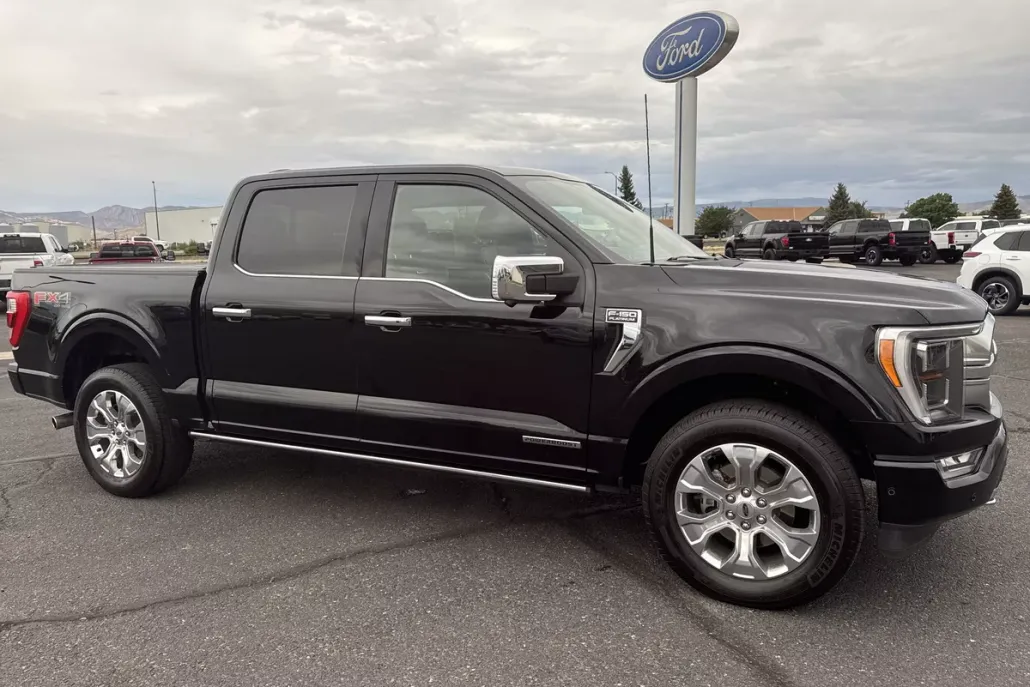2022 Ford F-150 Platinum photo 1