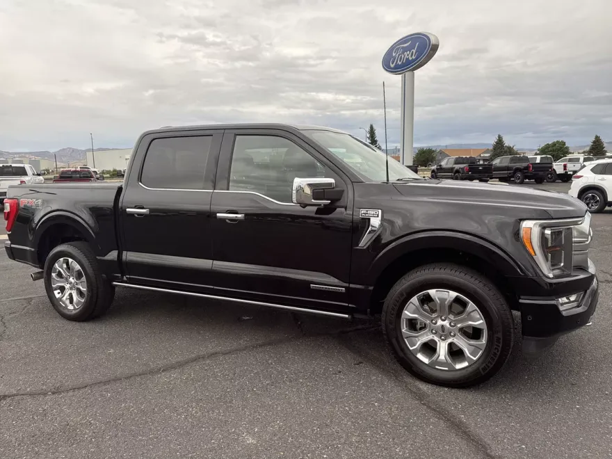 2022 Ford F-150 Platinum photo 1