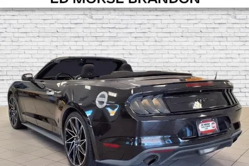2019 Ford Mustang EcoBoost photo 3