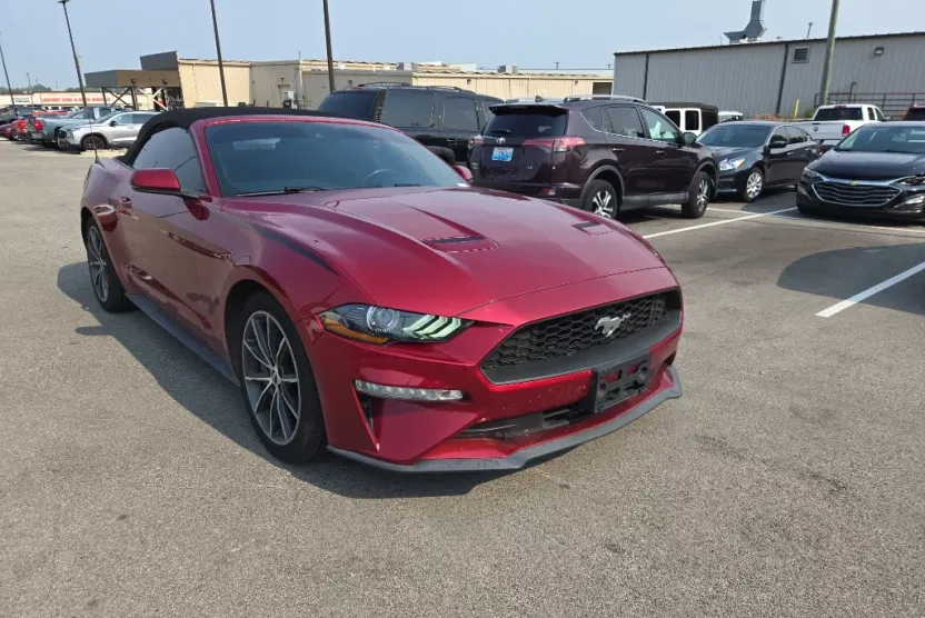 2019 Ford Mustang EcoBoost Premium photo 1