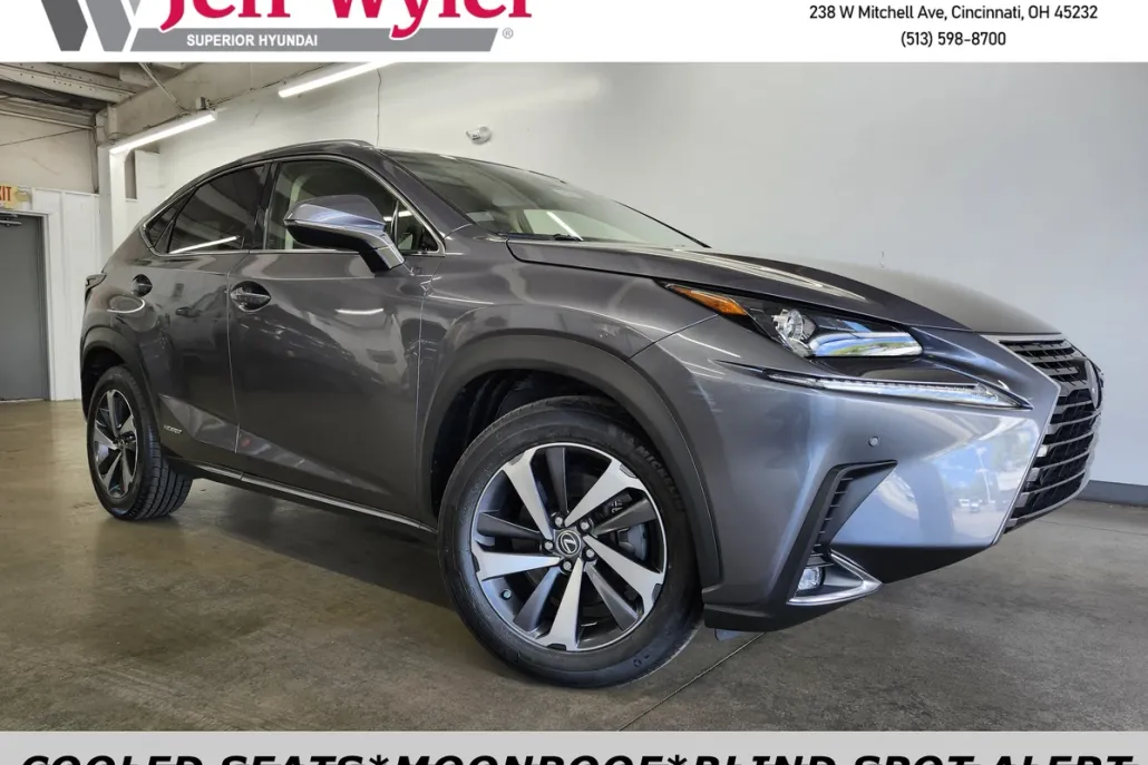2019 Lexus NX 300h Luxury photo 1