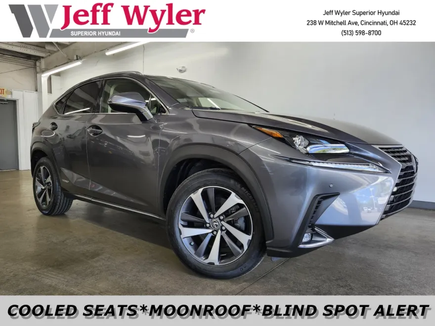 2019 Lexus NX 300h Luxury photo 1