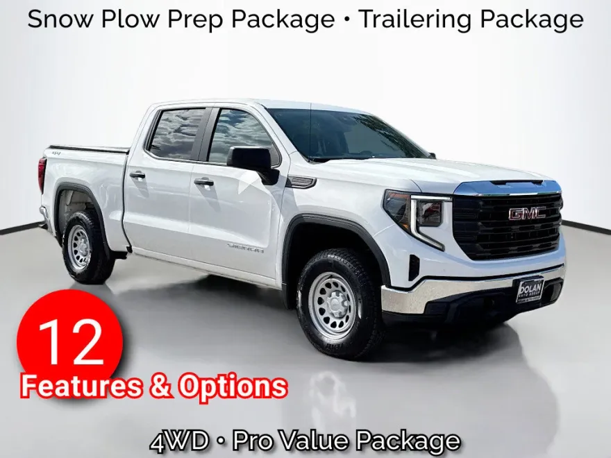 2022 Gmc Sierra 1500 Pro photo 1