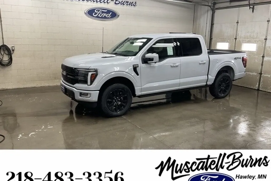 2025 Ford F-150 Platinum photo 1