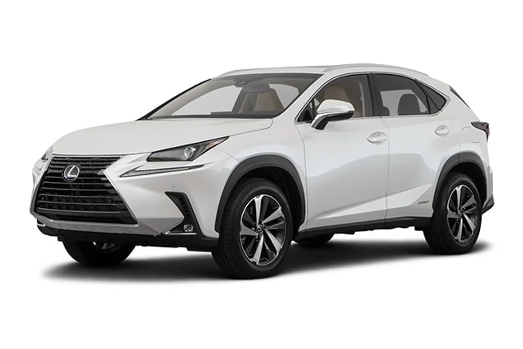 2019 Lexus NX 300h Luxury photo 1