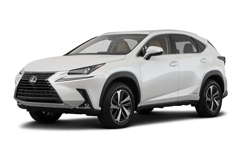 2019 Lexus NX 300h Luxury photo 1