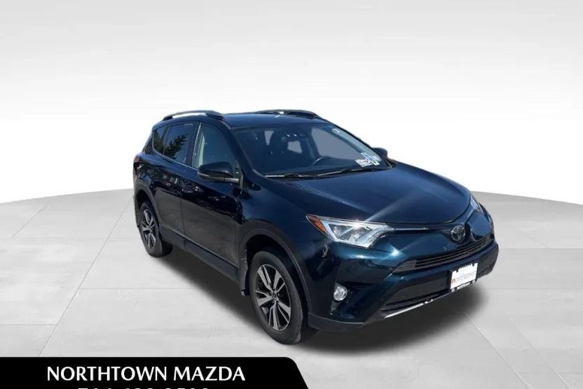 2017 Toyota RAV4 XLE photo 1