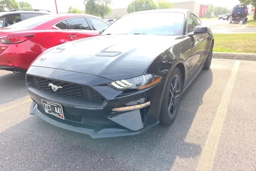 2020 Ford Mustang EcoBoost photo 1