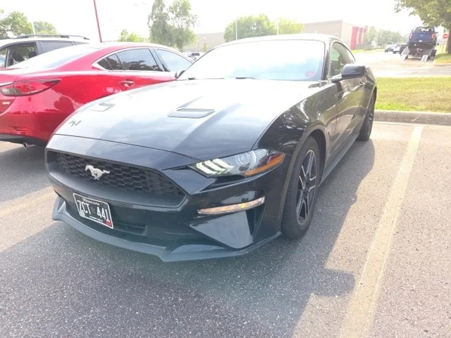 2020 Ford Mustang EcoBoost photo 1