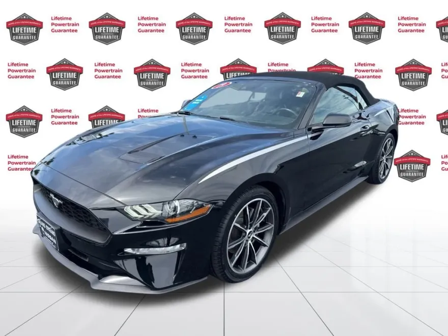 2019 Ford Mustang EcoBoost Premium Convertible photo 1