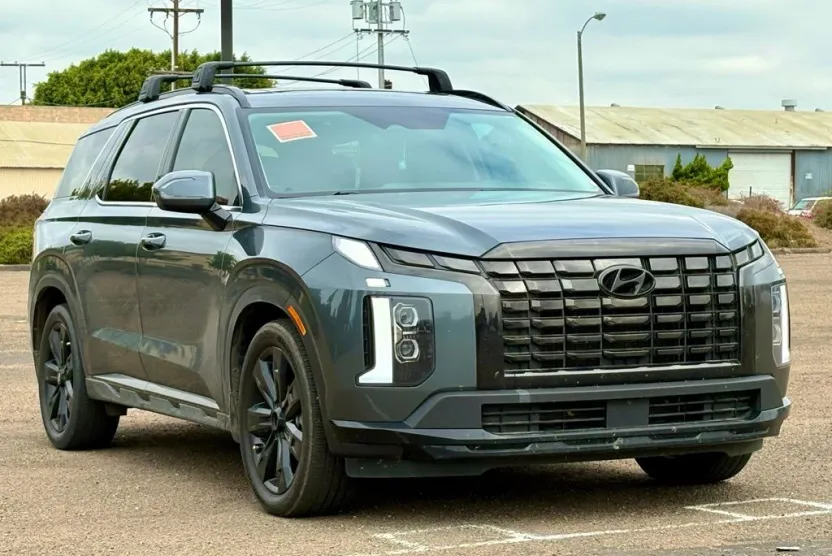 2024 Hyundai Palisade XRT photo 1