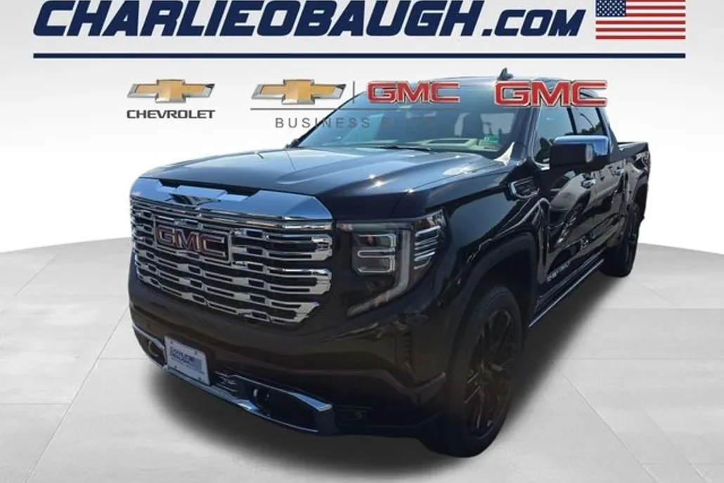 2025 Gmc Sierra 1500 Denali photo 1