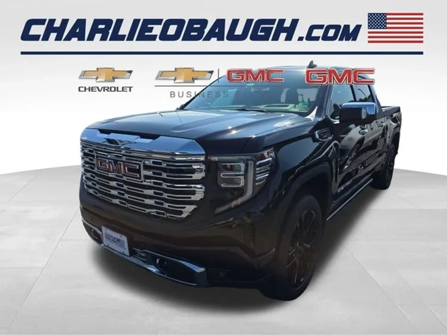 2025 Gmc Sierra 1500 Denali photo 1