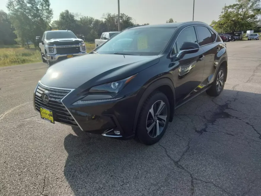 2020 Lexus NX 300 Premium photo 1