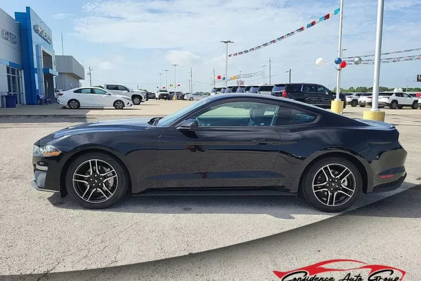2023 Ford Mustang EcoBoost Premium photo 1