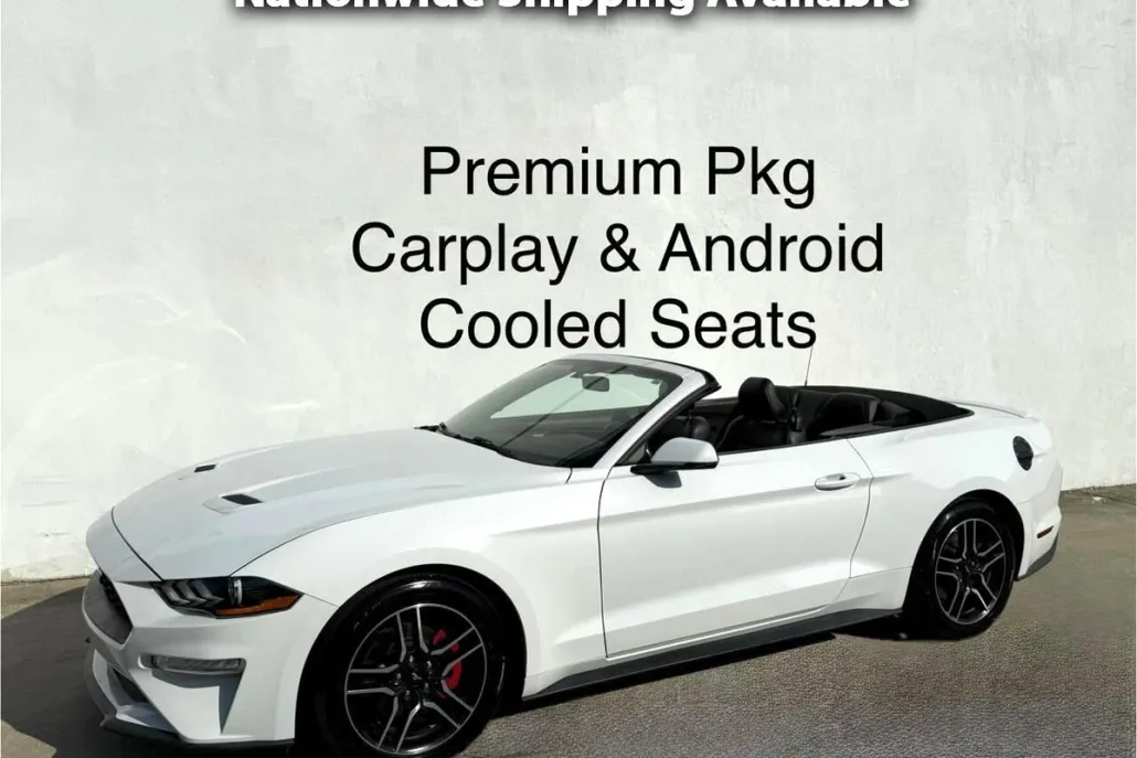 2019 Ford Mustang EcoBoost Convertible photo 1