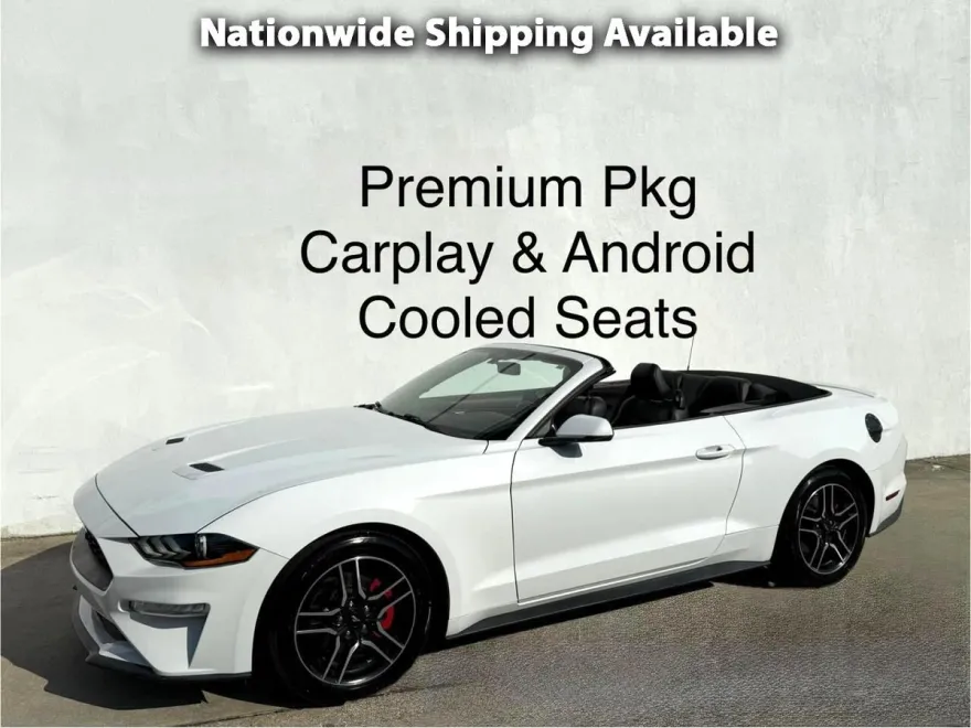 2019 Ford Mustang EcoBoost Convertible photo 1