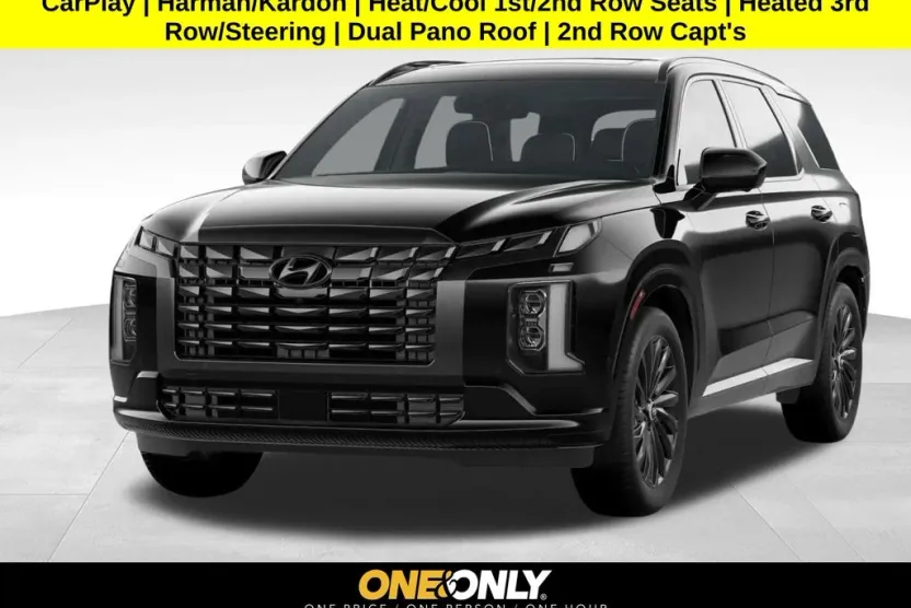 2024 Hyundai Palisade Calligraphy photo 1