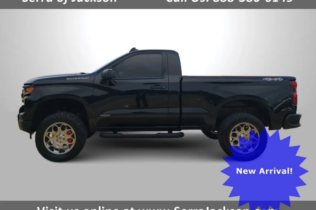 2025 Chevrolet Silverado 1500 Work Truck photo 1