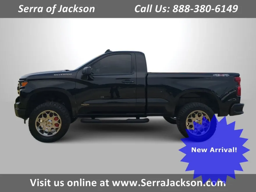 2025 Chevrolet Silverado 1500 Work Truck photo 1